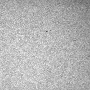 Mars_L_040710_125838_3.jpg