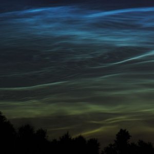 NLC1.jpg