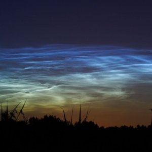 NLC3.jpg
