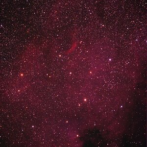 NGC 7000