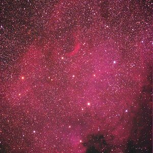NGC 7000