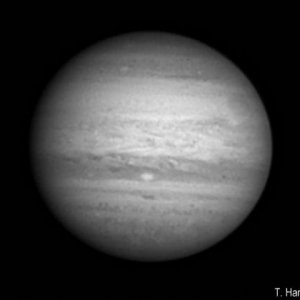 Jupiter20100721v2Rat.jpg