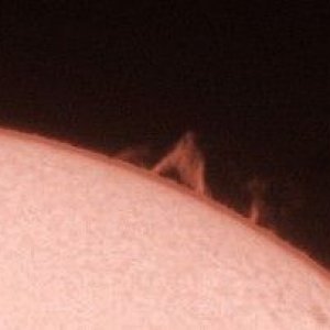 sonnentest