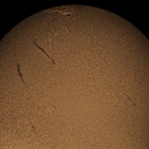 Sonne Ha   20100729