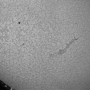 Sonne_20100801_PST.jpg