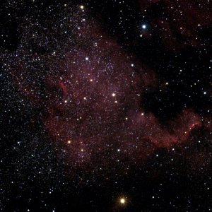 NGC 7000