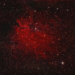 NGC6820 - die rote Qualle mit Einwärts-Rüssel