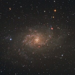 M33