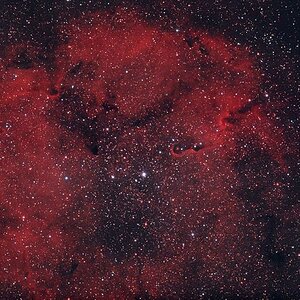 IC 1396