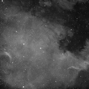 NGC 7000 bei Vollmond
