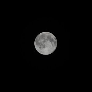 Luna mal wieder