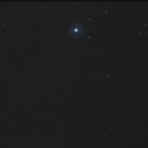 Vega