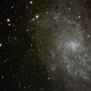 M33 im GSO 10"RC