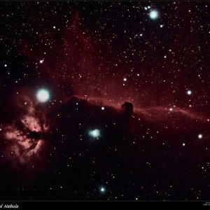 DSLR am ED 80/600 pro - Pferdekopfnebel