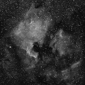 NGC7000+IC5067-70