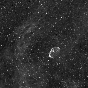 Hörnchen bei Vollmond