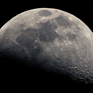 Einzelfoto März 2010