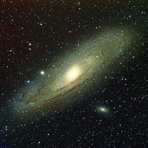 M31