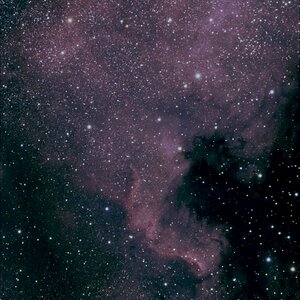 Nordamerikanebel - NGC7000