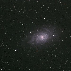 Galaxie im Dreieck - M33