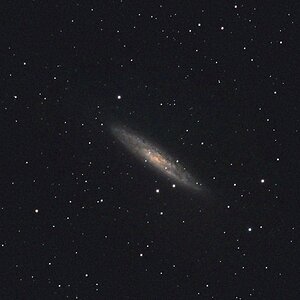 NGC 253 - Sculptor-Galaxie