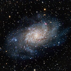 M33