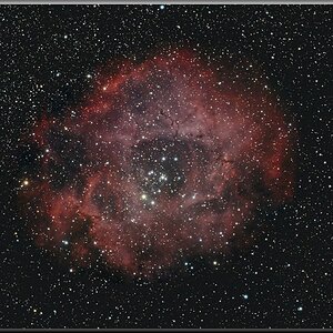 Rosettennebel - NGC2246