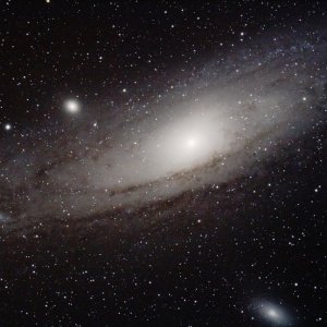 M31