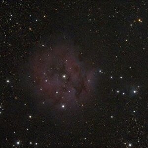 Kokon-Nebel 2009