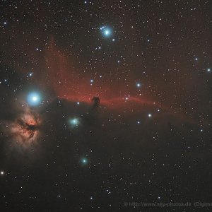B33_2-1600.jpg