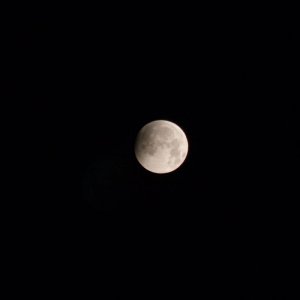 IMG_0746_Mofi.jpg