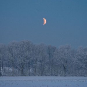 IMG_0763_Mofi.jpg