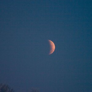 IMG_0765_Mofi.jpg