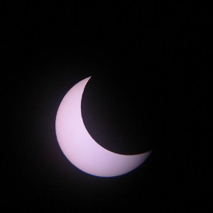 IMG_5388.jpg