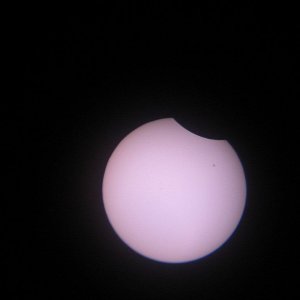 IMG_5424.jpg
