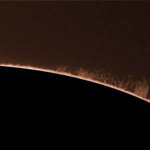 Ha-Sonne 20110117