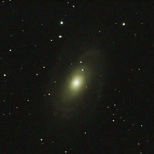 M81 von einer Remote Warte in New Mexico USA
