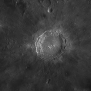 web4.jpg