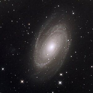 M81 mit dem 10" RC
