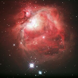 Orion