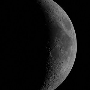 Mond