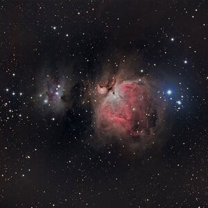M42