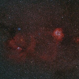 Rosetta_Conus_85mm_MaunaKea.jpg