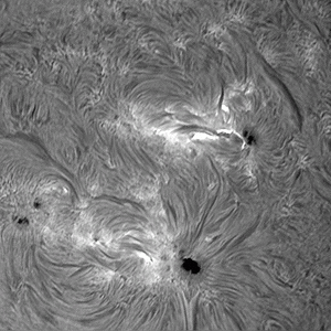 Sonnenfleck vom 19.02.2011