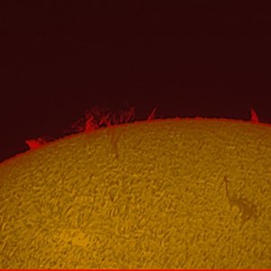 Sonne.jpg