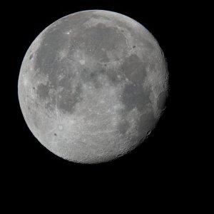 Mond