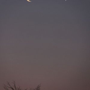 IMG_3283_DxO.jpg