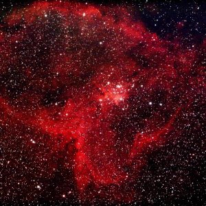 Herznebel IC1805