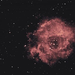 NGC-2244