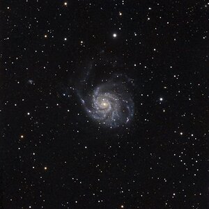 M101